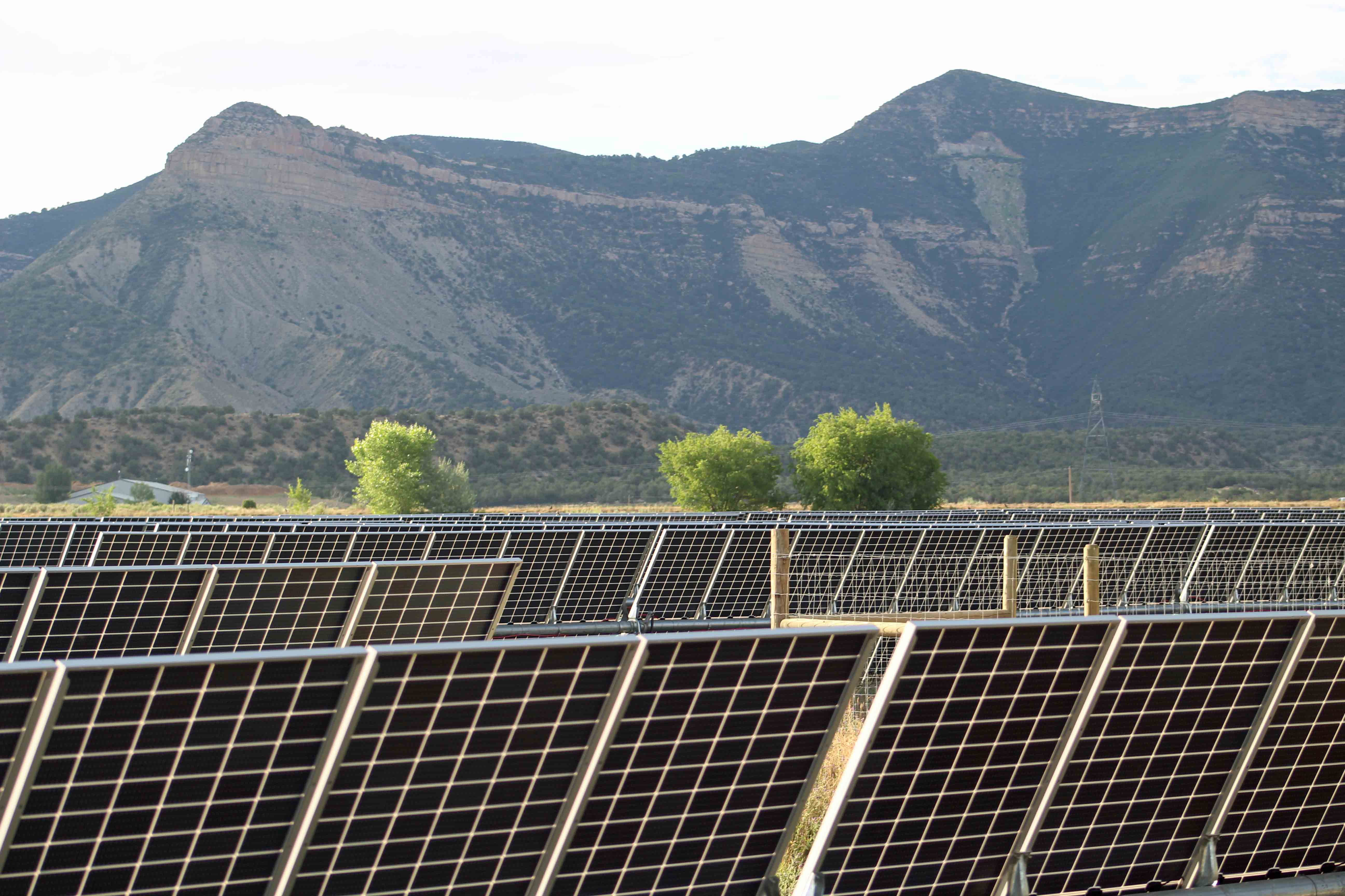 Rocky Ford Solar Generation Station with mesa and trees behind