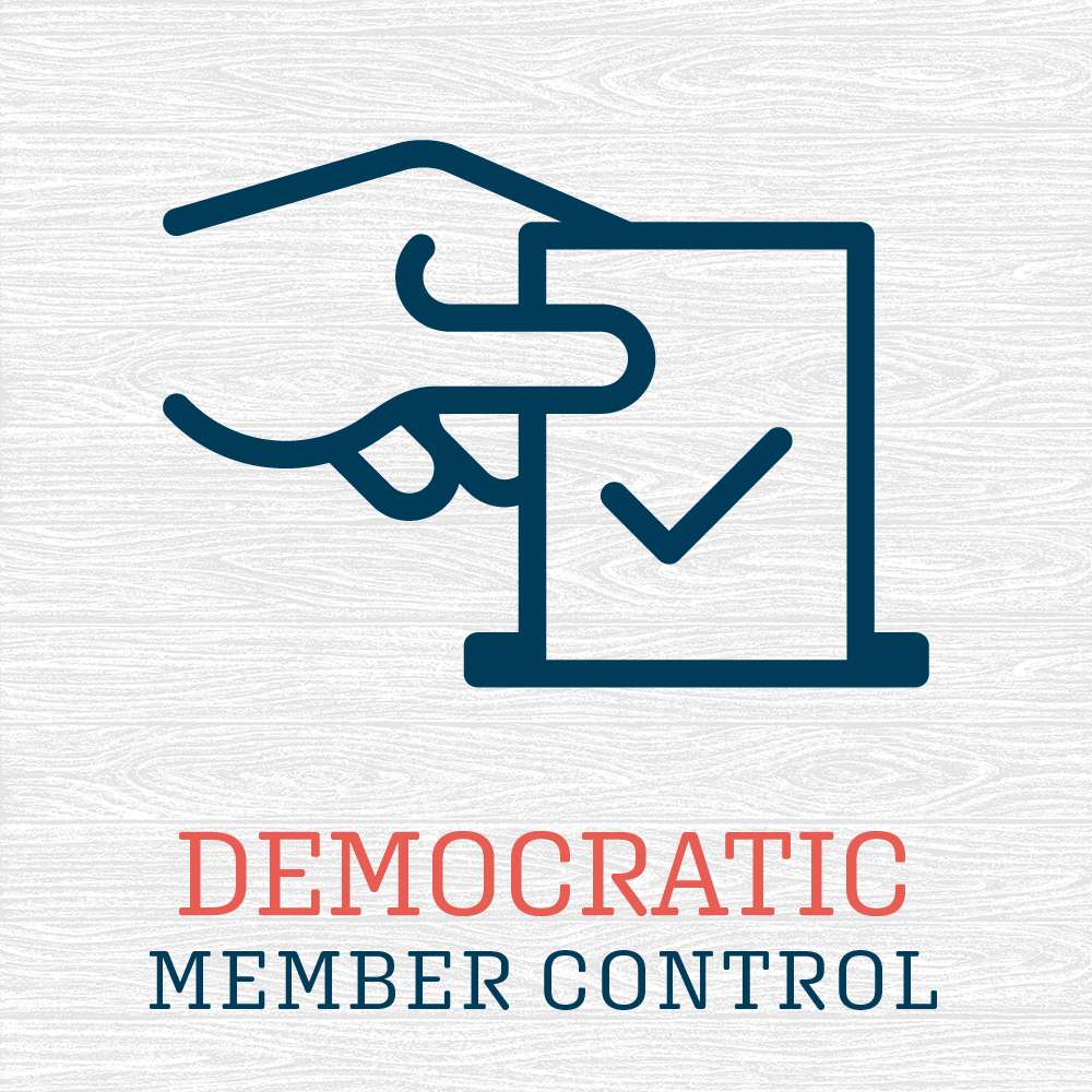 voting graphic representing member democratic control